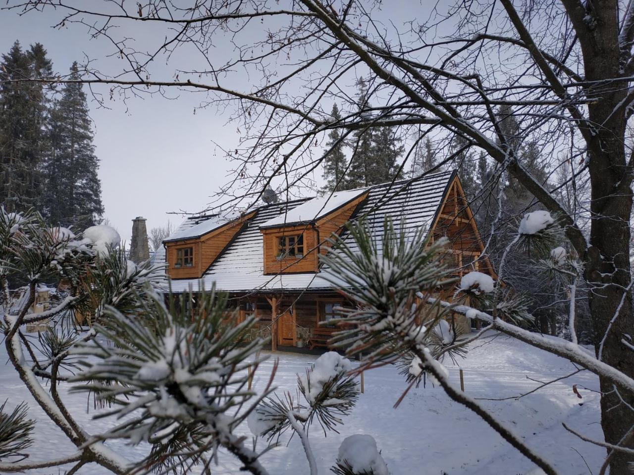 Chata Baba Yaga Villa Ždiar Exterior foto